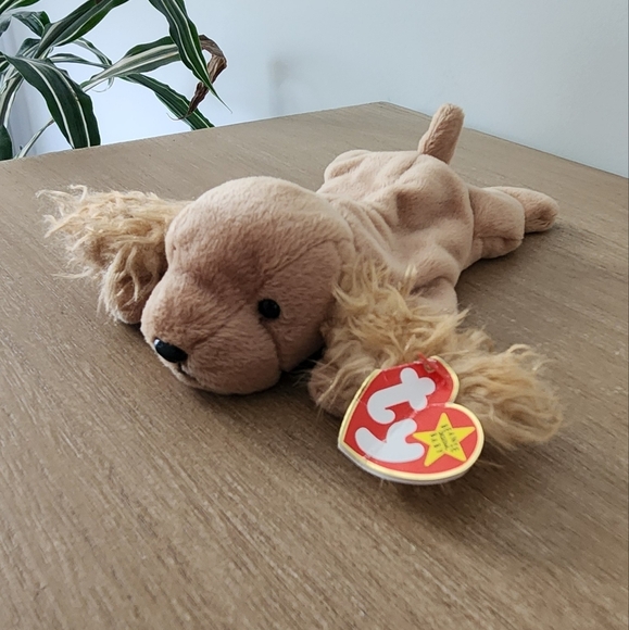 TY Beanie Baby Spunky Dog Plush Toy Collectible 1997 - Picture 1 of 16